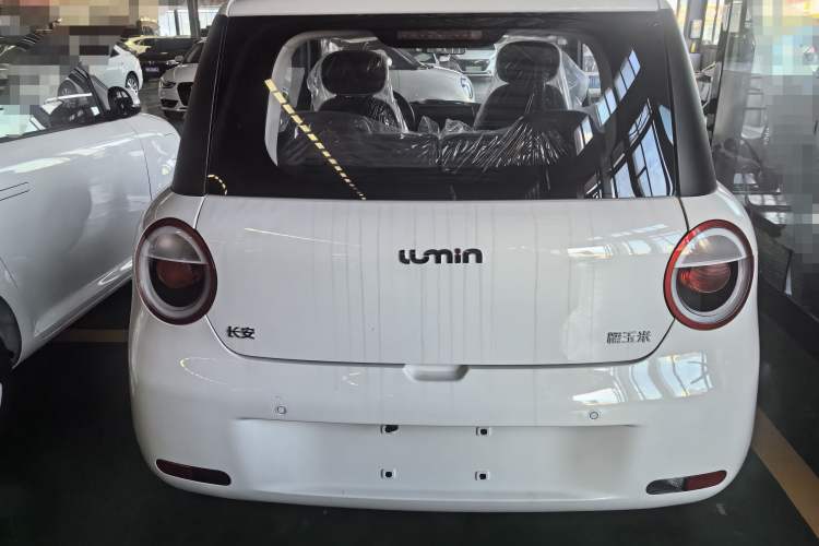 Used CHANGAN Lumin 2025 205 km Xiangqin Version Exterior 4