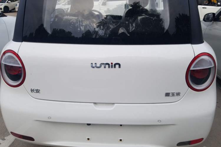 Used CHANGAN Lumin 2025 205 km Xiangqin Version Exterior 4