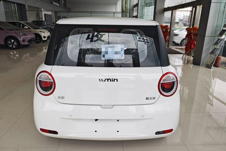 Used CHANGAN Lumin 2025 205 km Xiangqin Version Exterior 4