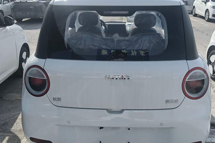 Used CHANGAN Lumin 2025 205 km Xiangqin Version Exterior 4