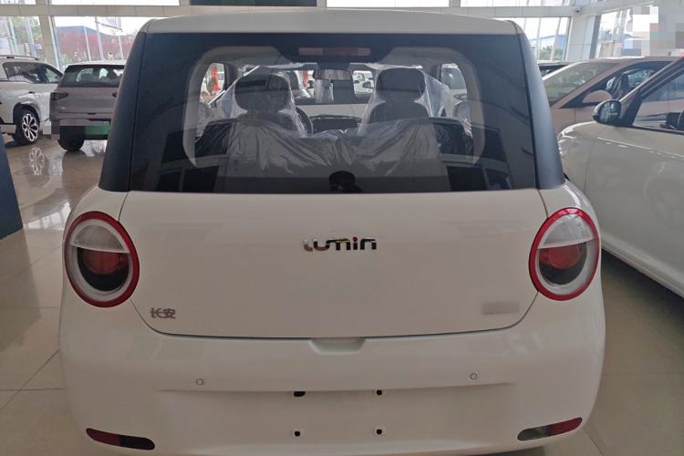 Used CHANGAN Lumin 2025 205 km Xiangqin Version Exterior 4