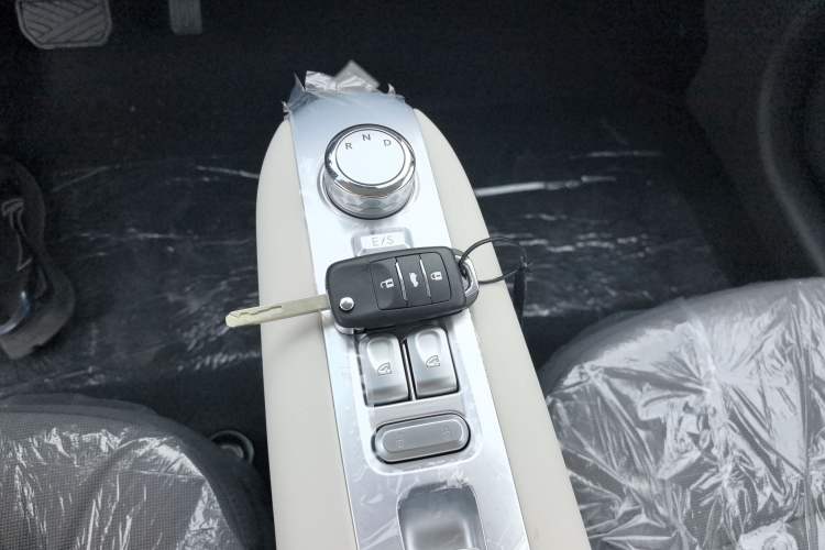 Used CHANGAN Lumin 2025 205 km Xiangqin Version Gear Lever