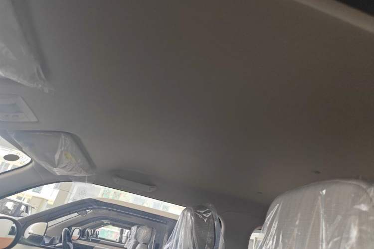 Used CHANGAN Lumin 2025 205 km Xiangqin Version Headliner