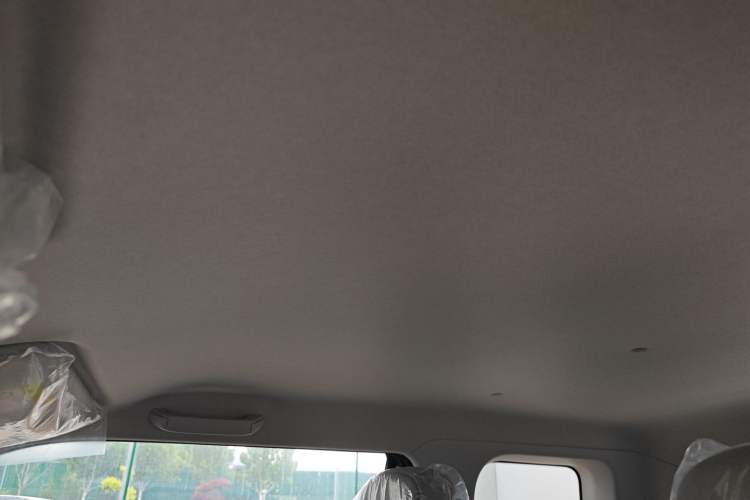 Used CHANGAN Lumin 2025 205 km Xiangqin Version Headliner