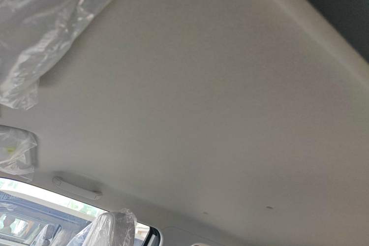 Used CHANGAN Lumin 2025 205 km Xiangqin Version Headliner