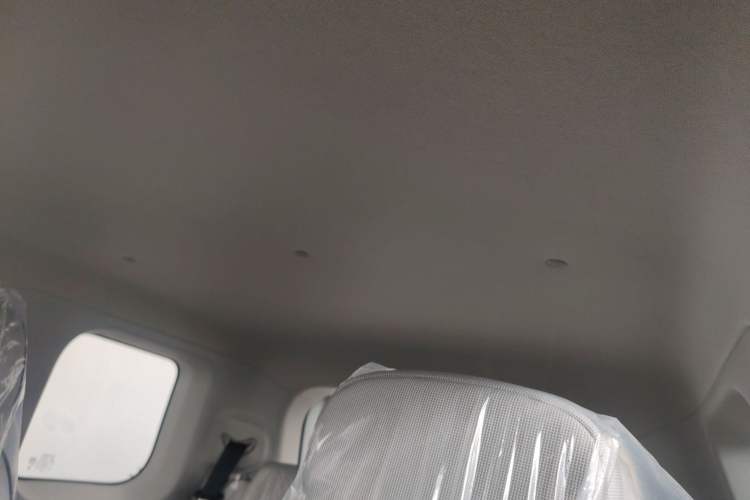 Used CHANGAN Lumin 2025 205 km Xiangqin Version Headliner