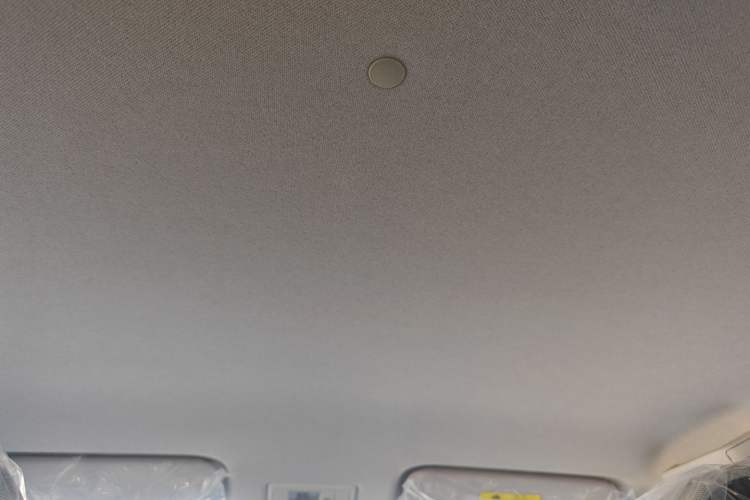 Used CHANGAN Lumin 2025 205 km Xiangqin Version Headliner