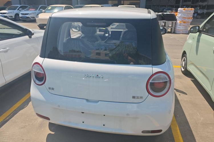 Used CHANGAN Lumin 2025 205 km Xiangqin Version Rear