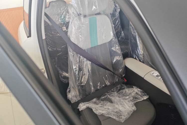 Used CHANGAN Lumin 2025 205 km Xiangqin Version Right Front Seat