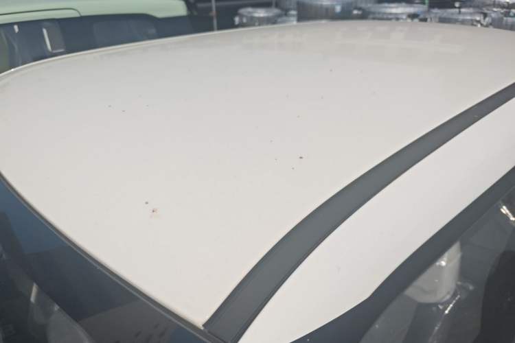 Used CHANGAN Lumin 2025 205 km Xiangqin Version Roof