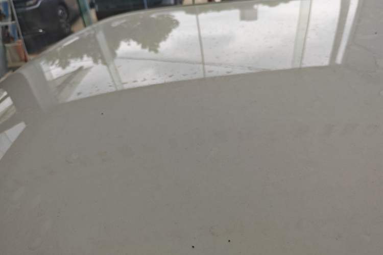 Used CHANGAN Lumin 2025 205 km Xiangqin Version Roof