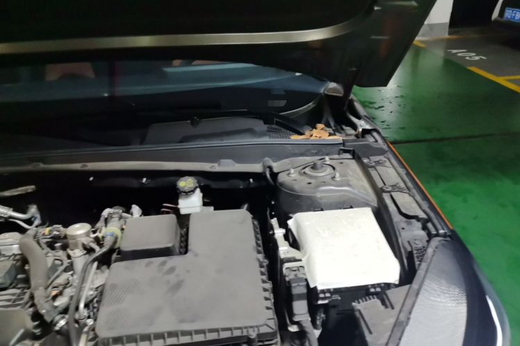 Used CHANGAN NEVO A05 2024 145 Pro Engine Bay Left