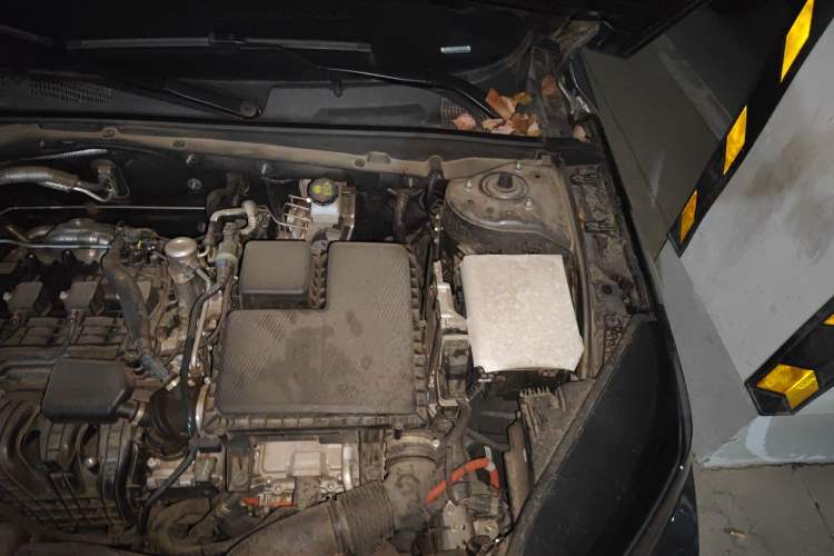 Used CHANGAN NEVO A05 2024 Truly Delicious Version 145 Leading Edition Engine Bay Left