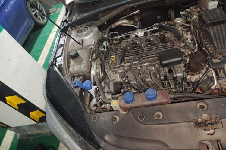 Used CHANGAN NEVO A05 2024 Truly Delicious Version 145 Leading Edition Engine Bay Right