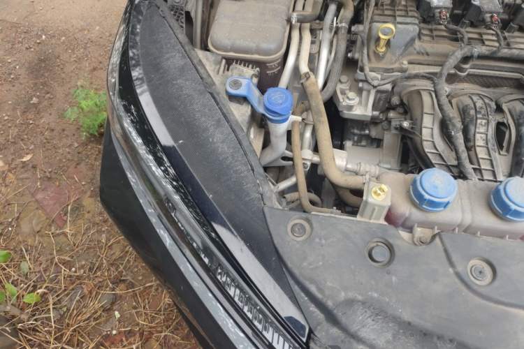 Used CHANGAN NEVO A05 2024 Truly Delicious Version 145 Beyond-Excellent Type Engine Bay Right