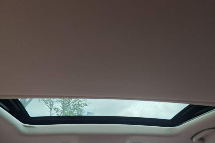 Used CHANGAN NEVO A05 2024 145 Max Headliner