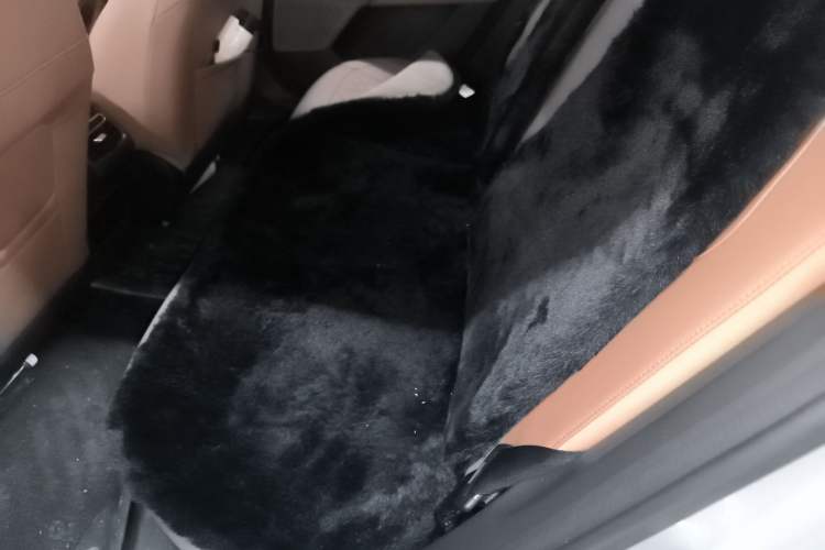 Used CHANGAN NEVO A05 2024 145 Max Left Rear Seat
