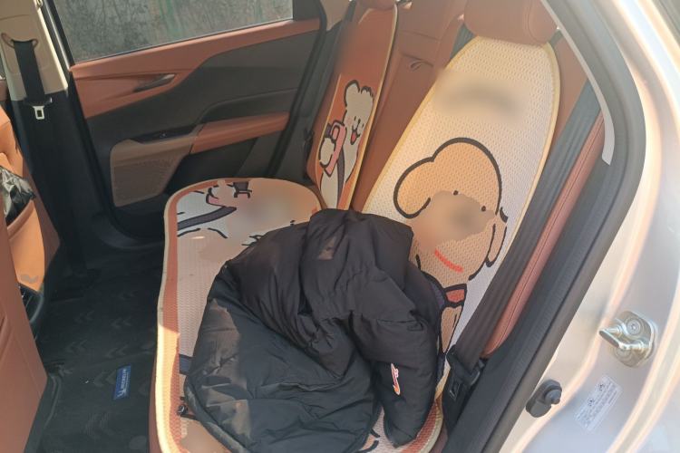 Used CHANGAN NEVO A05 2024 145 Max Left Rear Seat