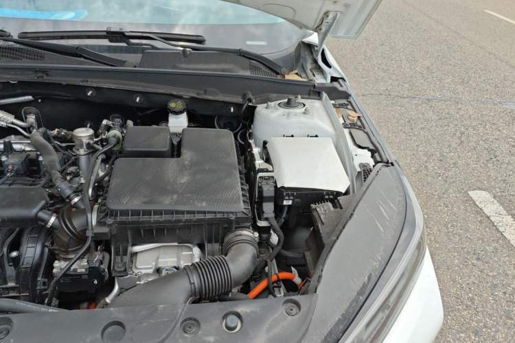 Used CHANGAN NEVO A05 2024 Truly Delicious Version 145 Beyond-Excellent Type Engine Bay Left