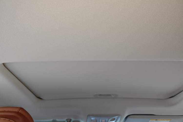 Used CHANGAN NEVO A05 2024 145 Max Headliner