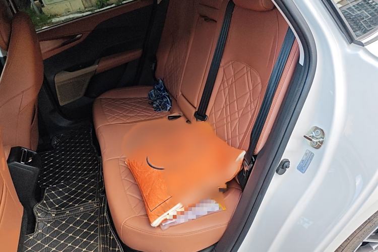 Used CHANGAN NEVO A05 2024 145 Max Interior 4