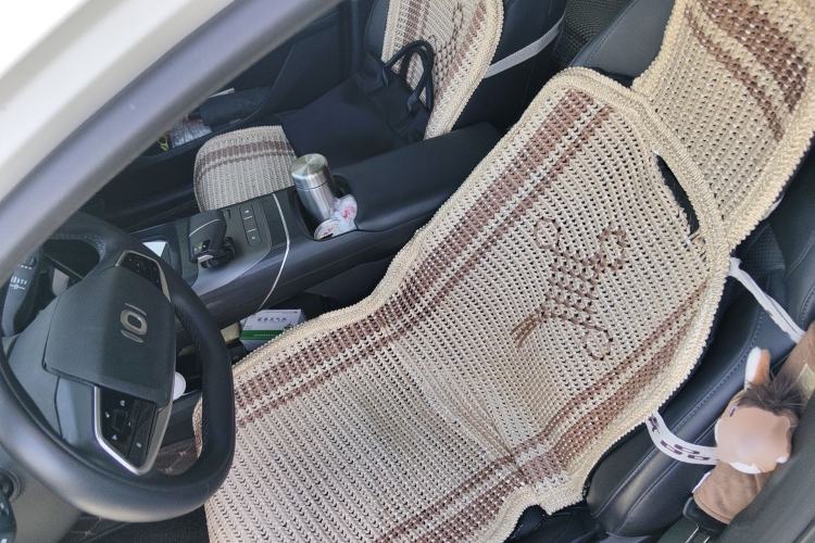 Used CHANGAN NEVO A05 2024 Truly Delicious Version 70" Beyond-Grade Edition Left Front Seat