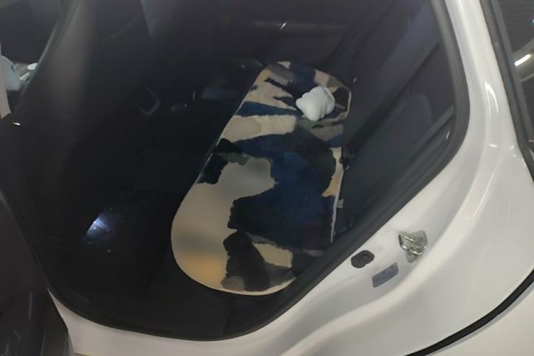 Used CHANGAN NEVO A05 2024 Truly Delicious Version 70 Leading Edition Left Rear Seat