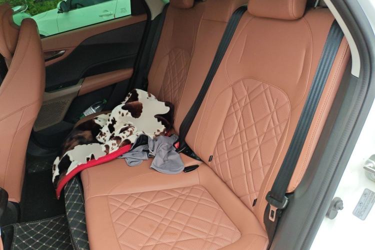Used CHANGAN NEVO A05 2024 Truly Delicious Version 145 Beyond-Excellent Type Left Rear Seat