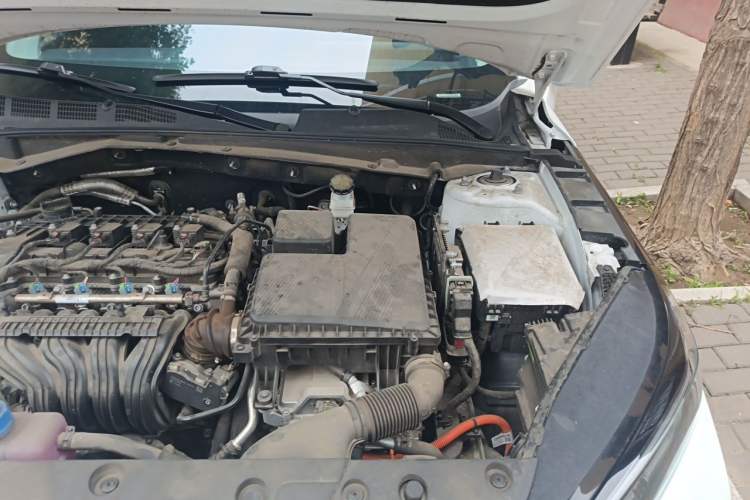 Used CHANGAN NEVO A05 2025 Truly Delicious Edition 145 Beyond-Grade Version Engine Bay Left