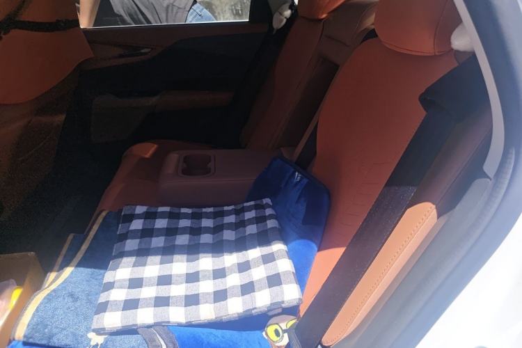 Used CHANGAN NEVO A05 2025 Truly Delicious Edition 145 Beyond-Grade Version Left Rear Seat