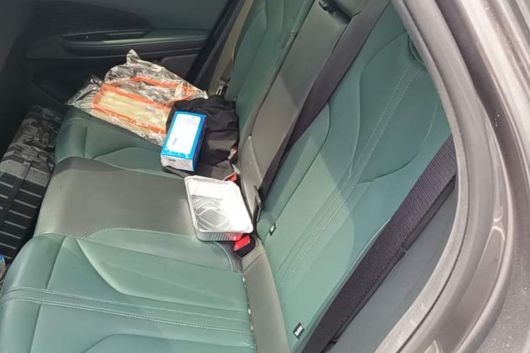 Used CHANGAN NEVO A06  Left Rear Seat