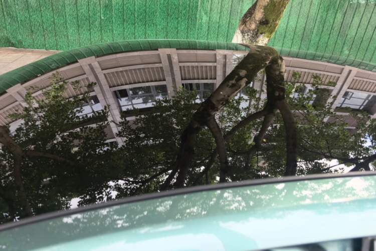 Used CHANGAN NEVO A06 2023 Supreme Model Roof