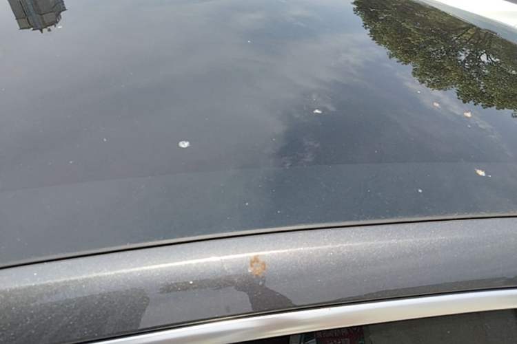 Used CHANGAN NEVO A07 2023 Range-Extended 200 Pro Roof