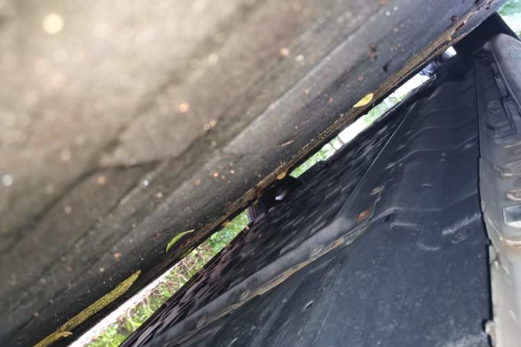 Used CHANGAN NEVO A07 2023 Range-Extended 200 Max Chassis Rear Left