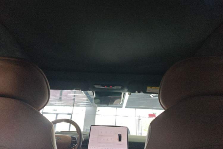 Used CHANGAN NEVO A07 2023 Pure Electric 515 Pro Headliner