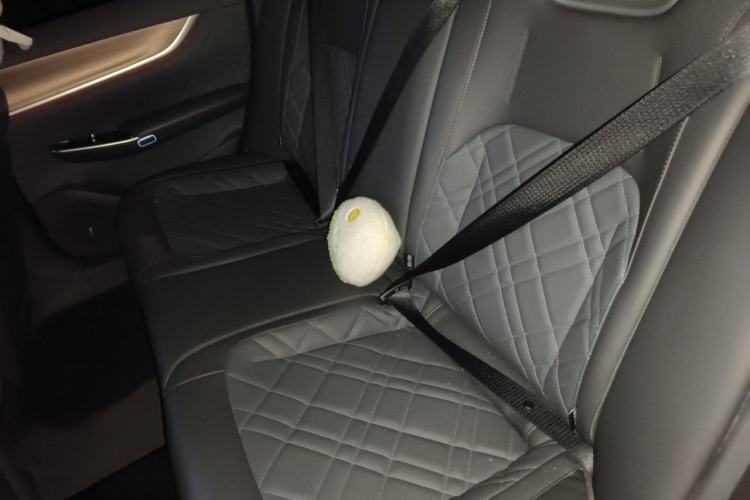 Used CHANGAN NEVO A07 2024 Pure Electric "True Fragrance" Edition 515 Prestige Model Interior 4