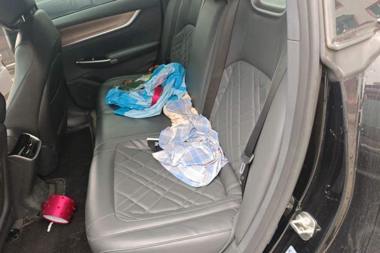 Used CHANGAN NEVO A07 2024 Pure Electric "True Fragrance" Edition 515 Prestige Model Left Rear Seat