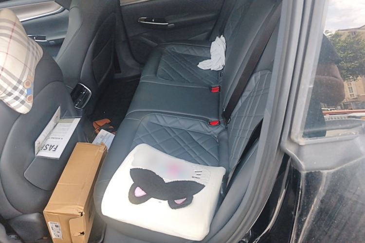 Used CHANGAN NEVO A07 2024 All-Electric "True Fragrance" Edition 710 Flagship Model Left Rear Seat