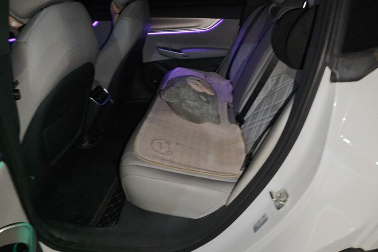 Used CHANGAN NEVO A07 2024 Pure Electric "True Fragrance" Edition 515 Prestige Model Left Rear Seat