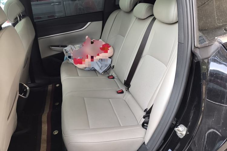 Used CHANGAN NEVO A07 2025 Blue Whale Range-Extending Model 140 Elite Version Left Rear Seat