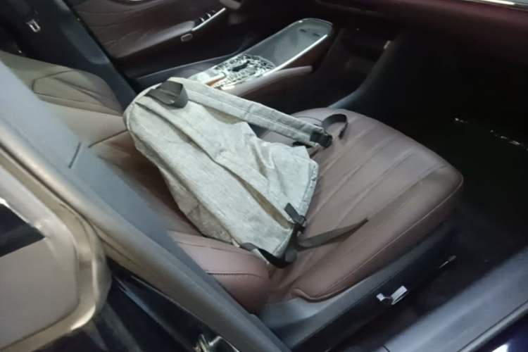 Used CHANGAN NEVO A07 2025 Blue Whale Extended-Range 230 Prestige Model Right Front Seat