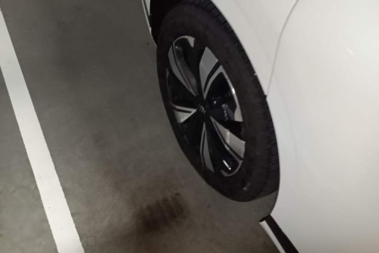 Used CHANGAN NEVO A07 2025 All-Electric "Real Bargain" 525 Luxury Model Exterior 5