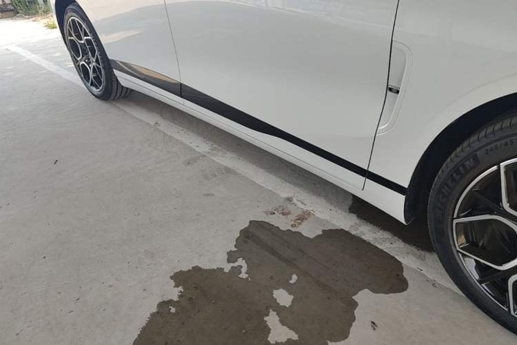 Used CHANGAN NEVO A07 2025 Blue Whale Range-Extending Version 230 Flagship Model Right Side Sill
