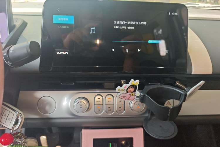 Used CHANGAN NEVO Lumin 2022 210km Sweet Edition Audio And AC Panel