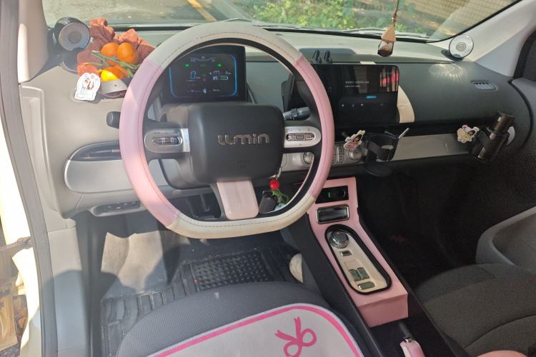 Used CHANGAN NEVO Lumin 2022 210km Sweet Edition Center Console