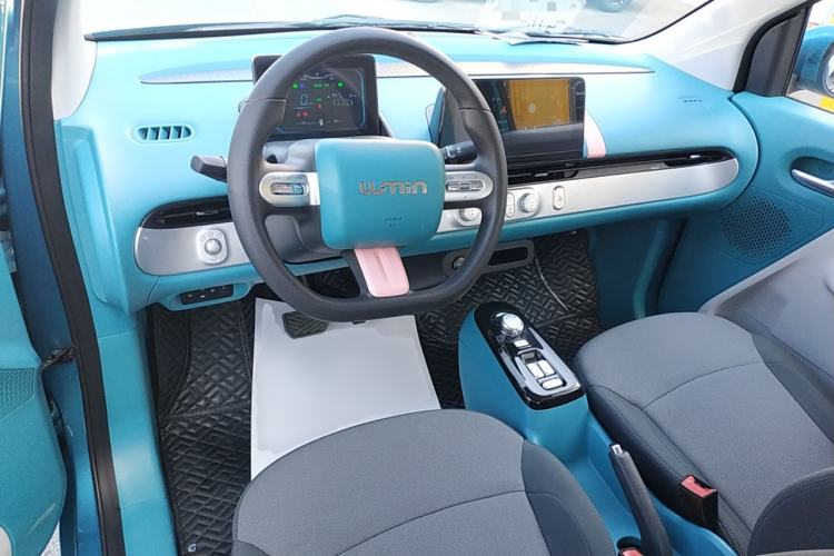 Used CHANGAN NEVO Lumin 2022 210km Sweet Edition Center Console