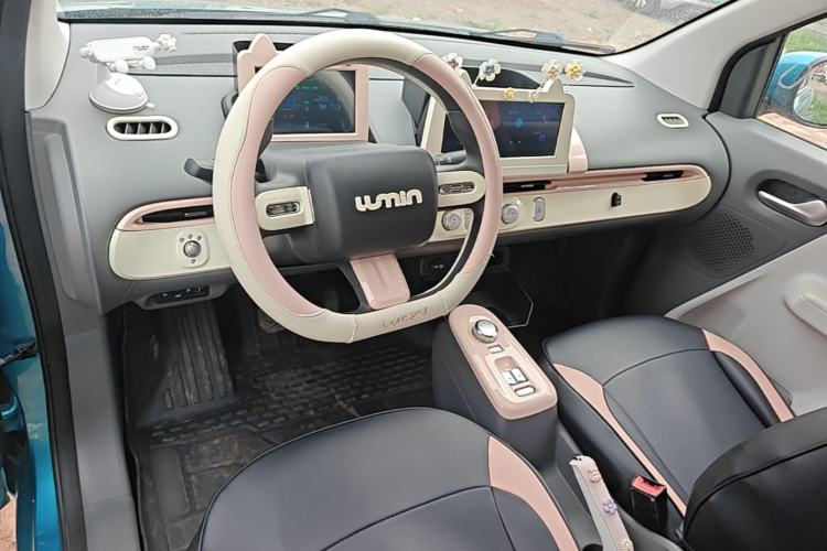 Used CHANGAN NEVO Lumin 2022 210km Sweet Edition Center Console