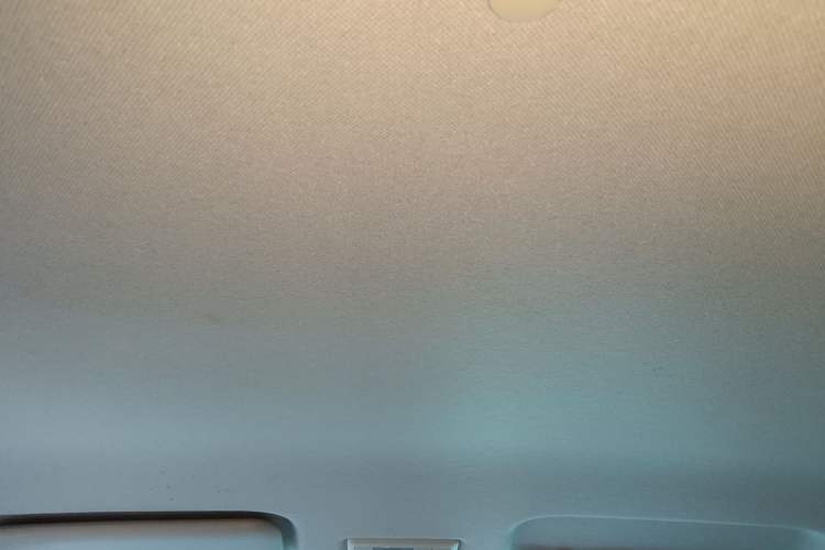 Used CHANGAN NEVO Lumin 2022 301km Honey-Sweet Version Headliner
