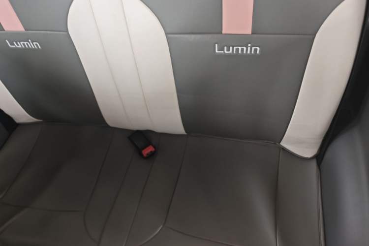 Used CHANGAN NEVO Lumin 2022 210km Sweet Edition Left Rear Seat