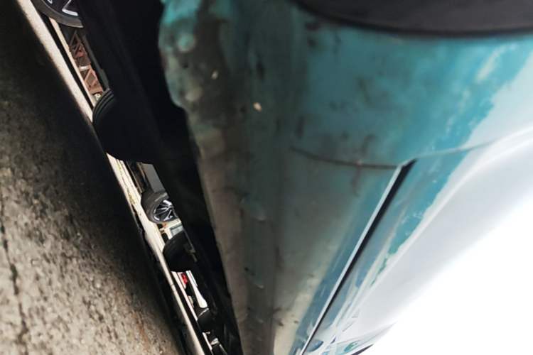 Used CHANGAN NEVO Lumin 2022 155 km – Refreshingly Sweet Edition Left Side Sill